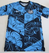 Yorkshire Vikings Nike Cricket