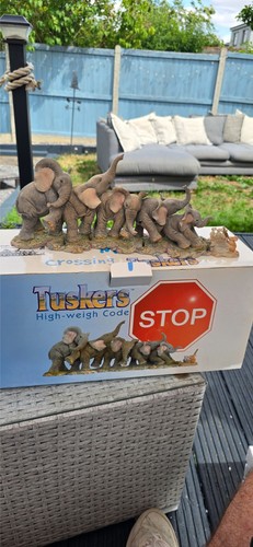 Tuskers stop mice - tuskers,