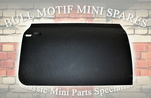 Classic mini door skin - door, (