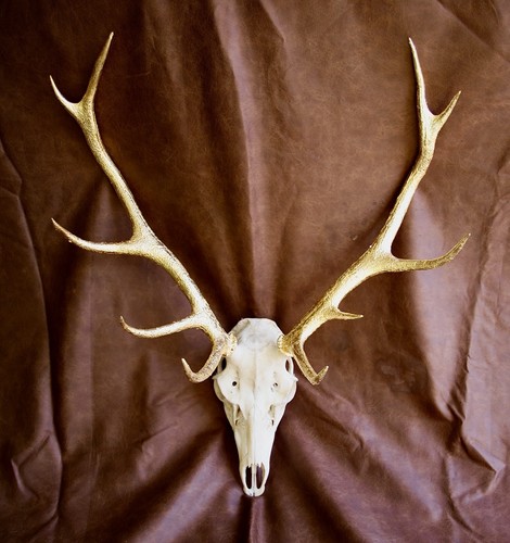 Gold leafed pointed red - gold,