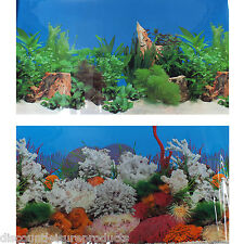 24"/60cm Aquarium Marine