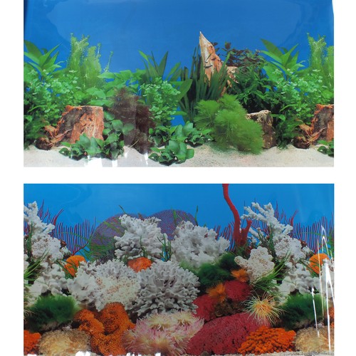 60cm aquarium marine - 24"/60cm,
