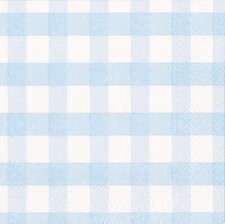 Light Blue Gingham Check