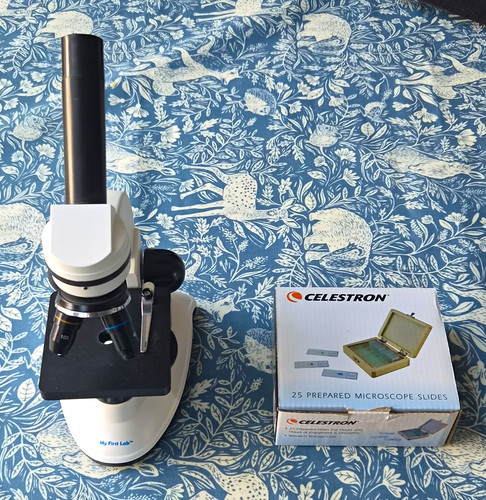 Celestron prepared slides - celestron, 25