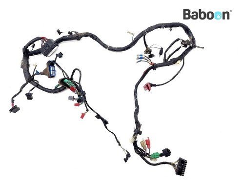 Wiring harness honda - (main),