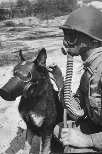 Man and dog - mask, ww2