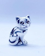 Lovely Kitty Beautiful Cat