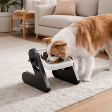 Adjustable Height Raised Dog