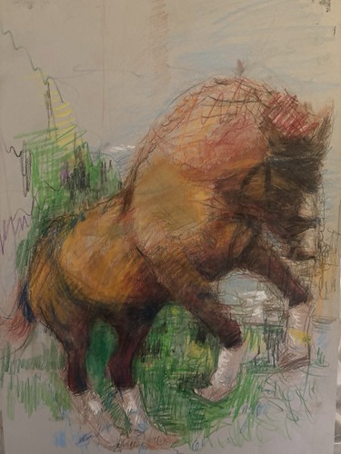 Horse sketch - horse,