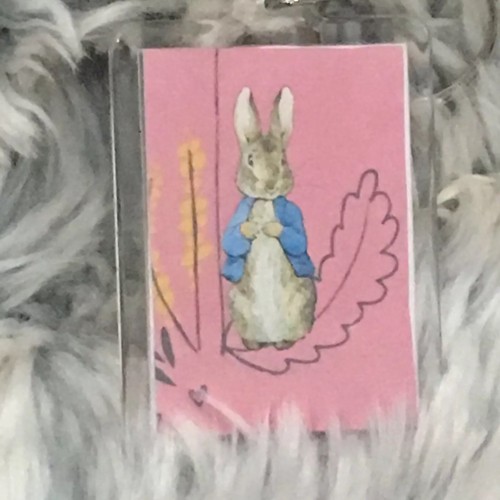 Peter rabbit key - rabbit, bag