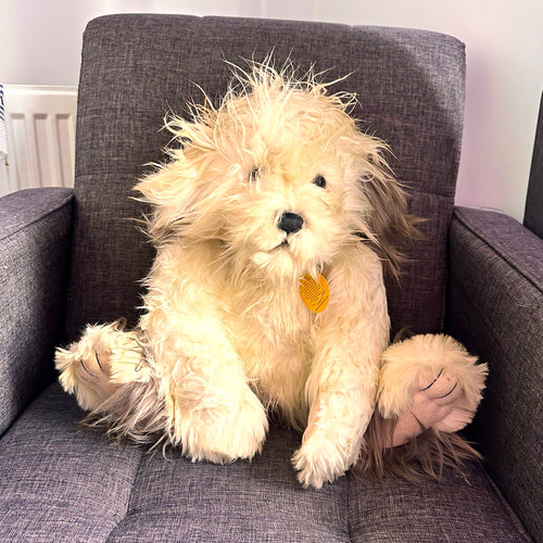 Charlie bears campbell - charlie, plush