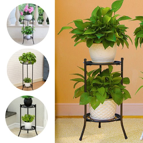 Tiers rising tall - 2, plant