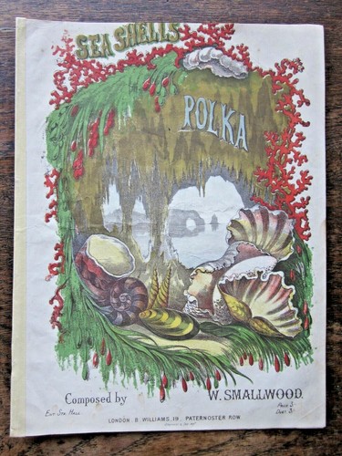 19thc sea shells polka - sea,
