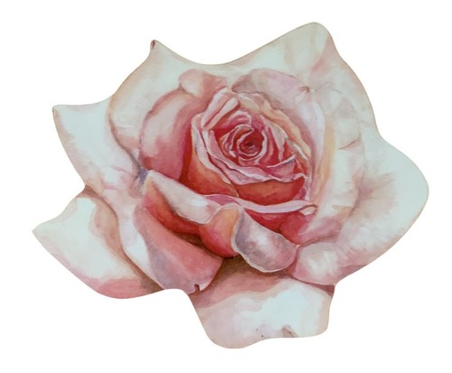 Pink rose magnet - -,