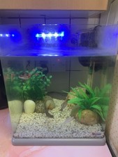 Fish Tank and Accessories Set Tropical/Cold Water Compatible