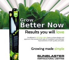 Sunblaster nano propagation - sunblaster, t5