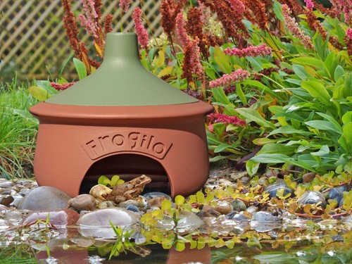 Froglio frog house toad - house, /