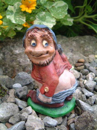 Naughty gnome moonie - moonie, *showing