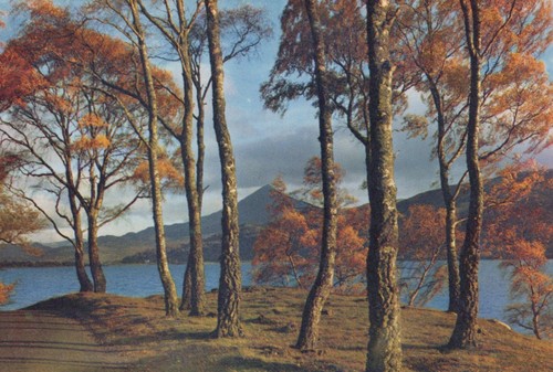 Scotland postcard the shores - scotland,
