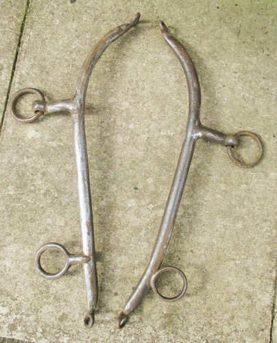 Horse hames harness antique - horse,