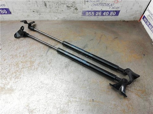 Gas strut rear - strut, jazz