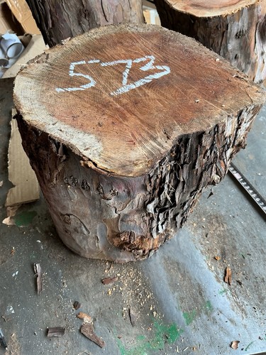 Yew block - yew,yew,