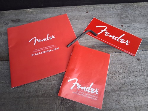 Fender stratocaster basic case - stratocaster,