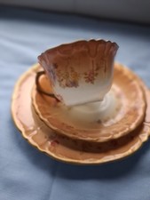 Antique William Adderley Alsager Trio SPRAY Pattern Rd no 211785 -Salmon Pink