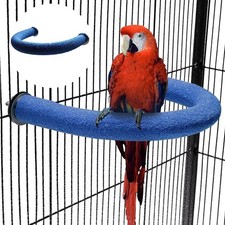 U-Shape Parrot Perch Bird