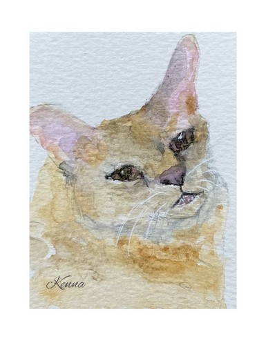 Aceo kenna painting - by,