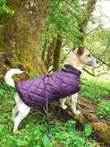 Quilted purple black fleece - black,