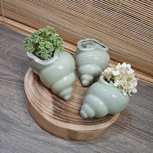 Ceramic shell flower - shell,