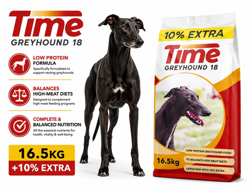 Time gain greyhound new - gain,