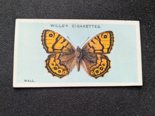 1927 wills british butterflies - 1927,
