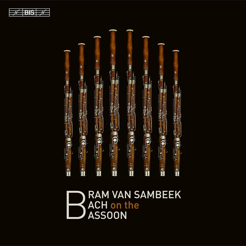 Bram van sambeek - van,
