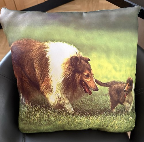 Lassie dog pup - lassie, cushion