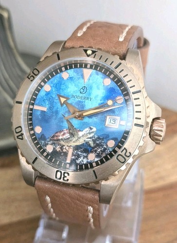 Boderry seaturtle ocean diver - boderry,