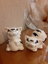 Ceramic Cat Salt And Pepper Pots (Colour Black & White)