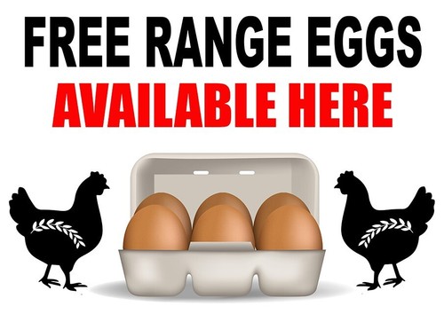 Free range eggs available here - free,