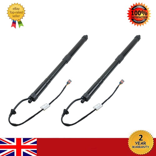 Electric tailgate gas - 2x,