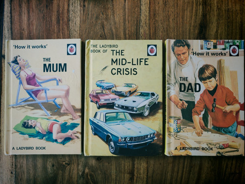 Ladybird books grown - ladybird, grown-ups