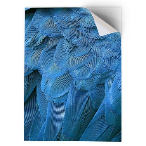 Vinyl sticker blue - sticker, a3