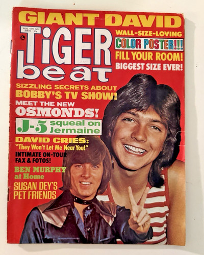 Aug 1971 tiger beat magazine - 1971,