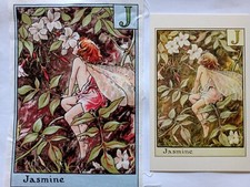 J - JASMINE - Alphabet  Flower