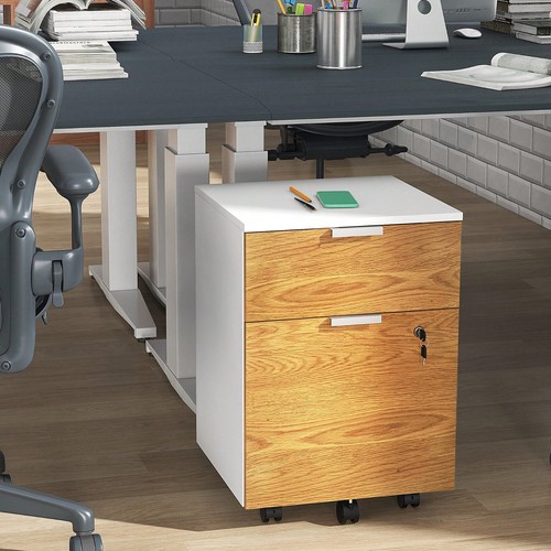 Lockable file cabinet - file,