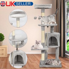 Adult Cat Climbing Tower