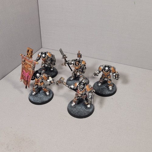 Paladins painted grey knights - paladins,