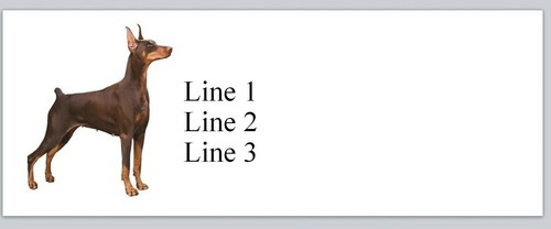 Personalized address labels - personalized,