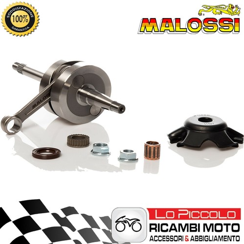 Malossi mhr team engine - team,