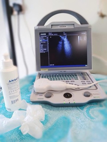 Veterinary grade ultrasound - veterinary,